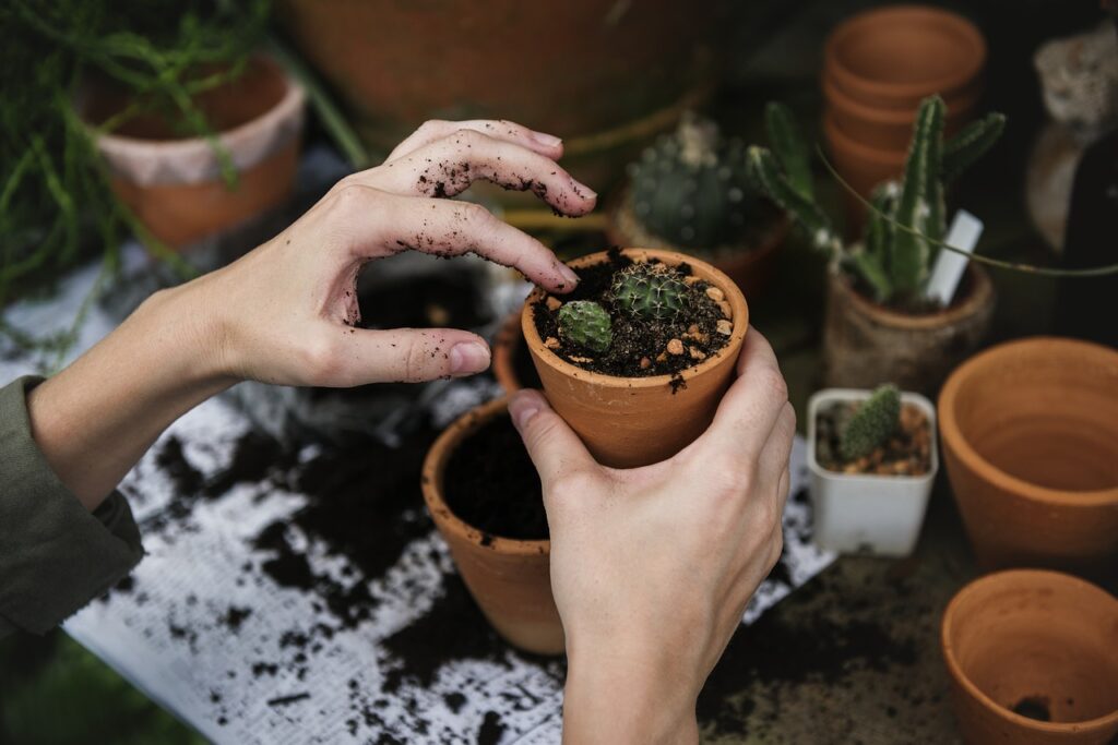 Decoração Ecológica