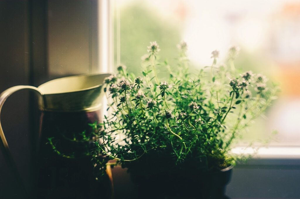 Decoração Ecológica